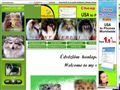 http://fontaneblui.mlap.hu ismertető oldala